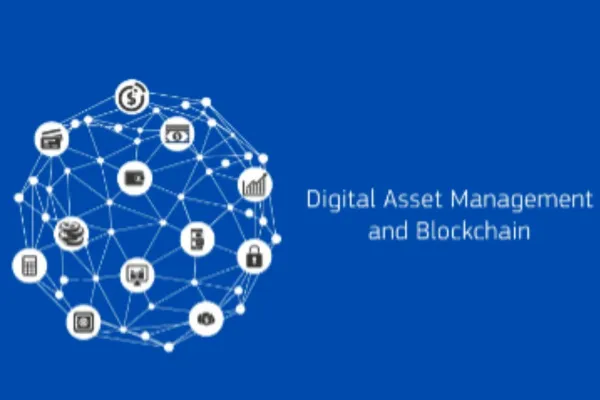 Digital asset management dam and blockchain