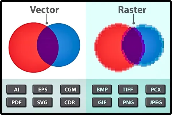 Vector Graphics Editors 
