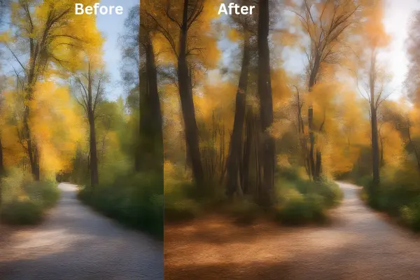 Before-and-after-Distortion-Filters-in-image-editing